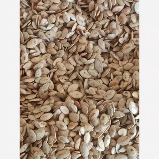 تخمه کدو سنتی دو آتیشه